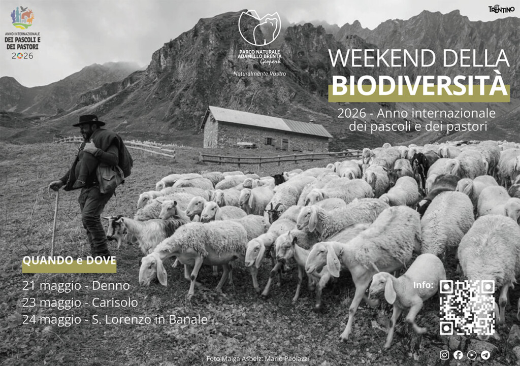 weekend biodiversità parco adamello brenta 2026 volantino