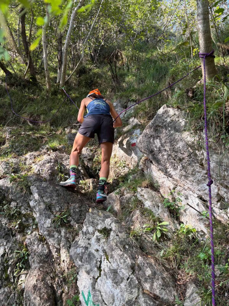 Vertical Zucco 2026 Monica Vagni