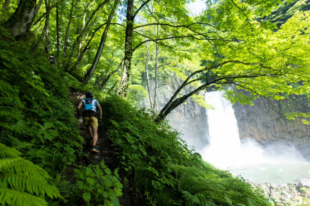 Myoko Trail Giappone foresta