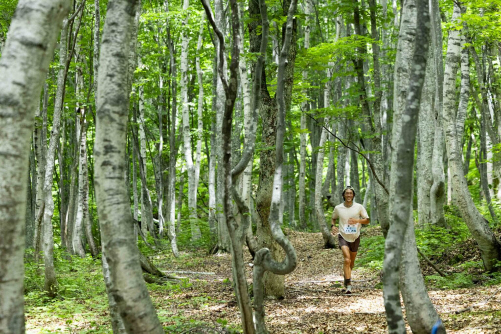 Myoko Trail Giappone foresta alberi